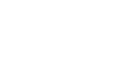Klient Progress Agency